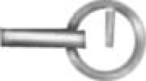 Niro-Bolzen mit Sicherungsring für Steuerblatt 6 mm Ø
