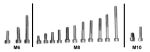 Innensechskantschraube M10 x 16mm, DIN 912